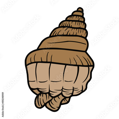 Clamshell Vector, Clamshell Summer Decoration, Seashell Summer Beach Vector Design