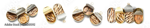 Set of delicious canned fis...