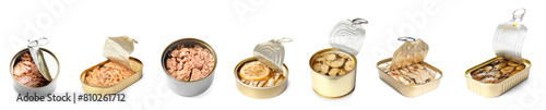 Canvas Print Set of delicious canned fish on white background