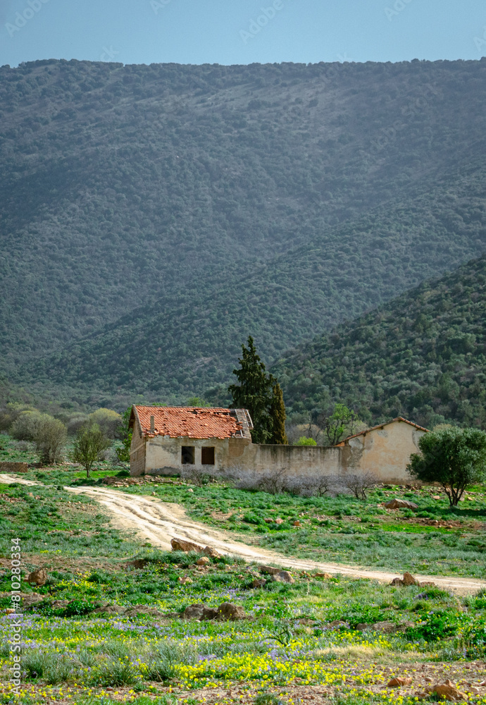 Scenic view from the Aures region, Algeria