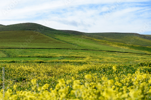 Scenic view from the Aures region  Algeria