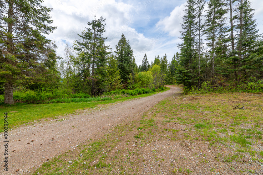 A narrow dirt and gravel road through forest hills in the rural mountain panhandle region of Coeur d'Alene, Idaho USA.