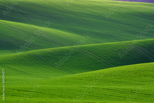 Vibrant green rolling hills landscape © Bryan