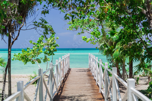 Wooden pier leading to tropical beach paradise