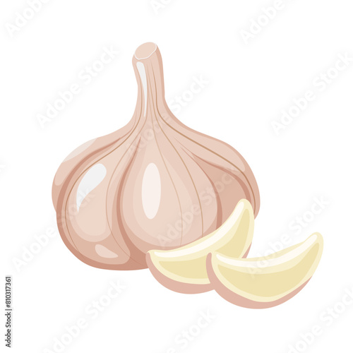 Fresh whole garlic vegetable and garlic cloves isolated on white background
