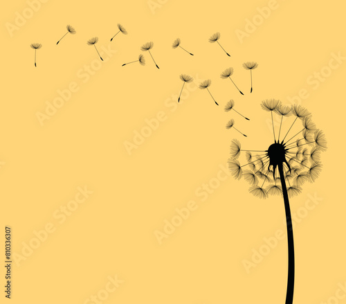Wild flower dandelion in a vector style isolated. Vector flower for background  dandelion flying wall decal children s room 