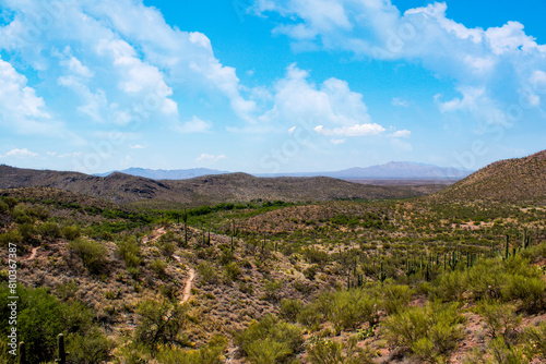 Arizona