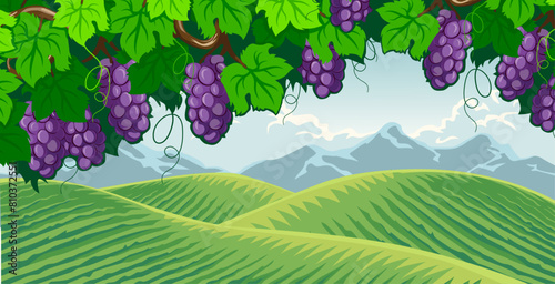 illustration of a view of a vineyard in the hills