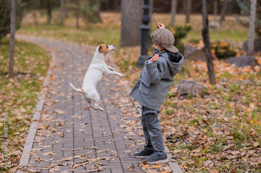 Fototapeta premium Caucasian boy playing with a dog for a walk in the autumn park. 