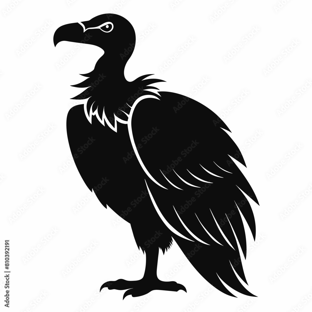 Big griffon vulture flying vector silhouette (35) Big griffon vulture flying vector silhouette (35)