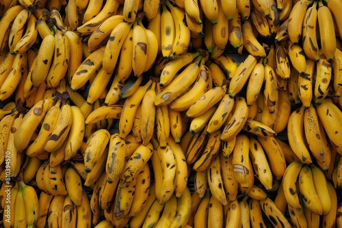 bananas on a yellow background