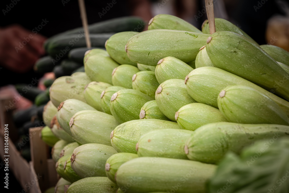 Selective blur on white zucchinis stacked for sale in a market of Belgrade, Serbia. Zucchini, or courgette, is a common vegetable and herbaceous plant. Selective blur on white zucchinis stacked for sale in a market of Belgrade, Serbia. Zucchini, or courgette, is a common vegetable and herbaceous plant.