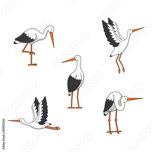 Stork illustration