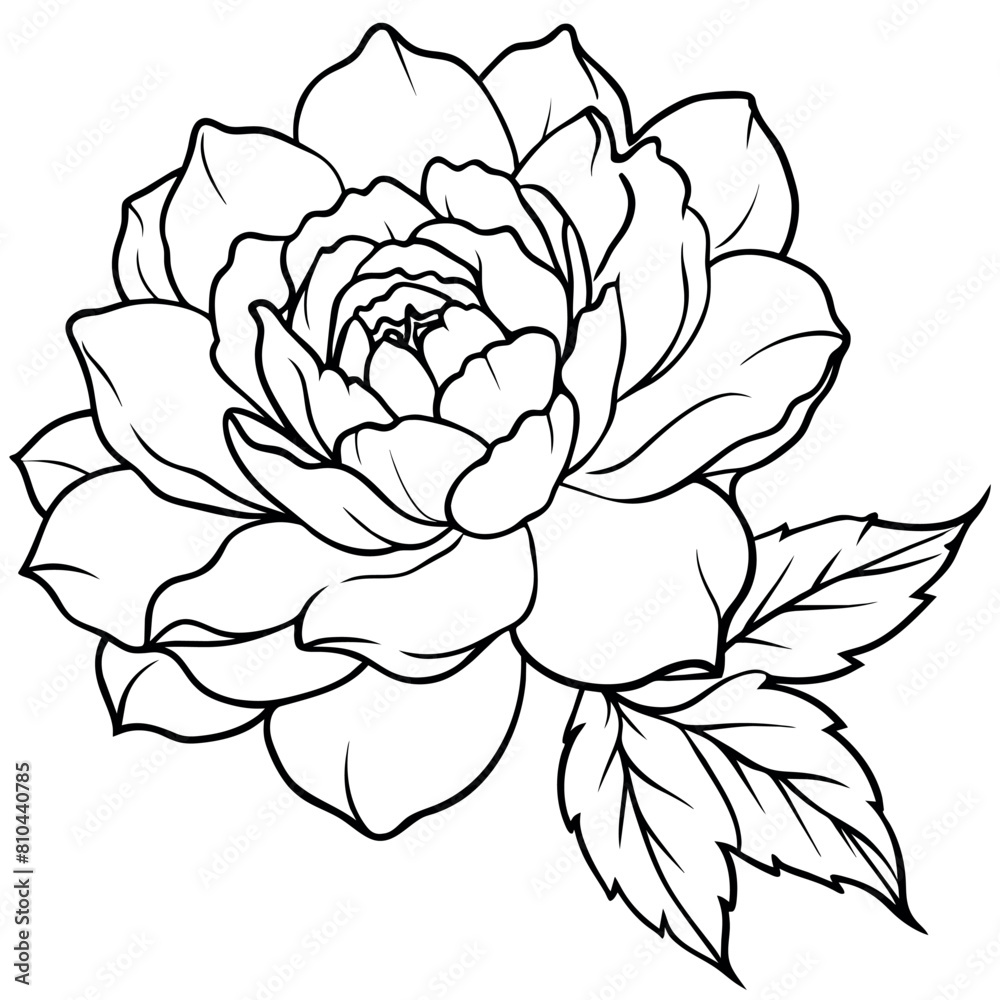 Peony Flower outline illustration coloring book page design, Peony Flower black and white line art drawing coloring book pages for children and adults