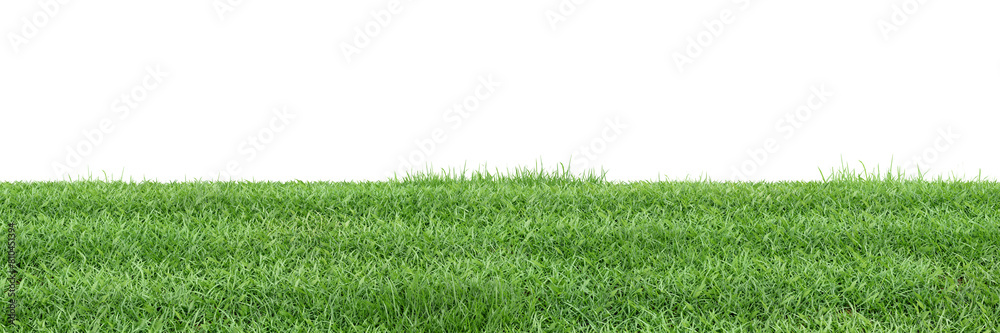 Green grass on transparent background 3d rendering