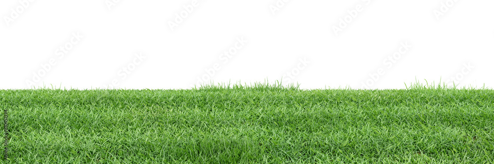 Green grass on transparent background 3d rendering Green grass on transparent background 3d rendering