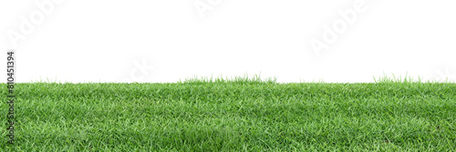 Green grass on transparent background 3d rendering