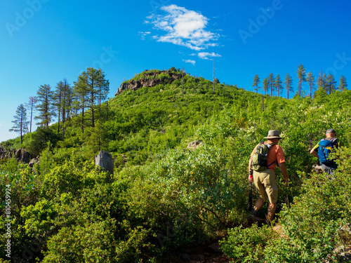 Spring canyons, Arizona