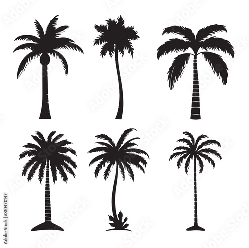 Diverse Tropical Palm Trees Set