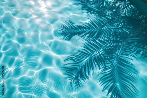 Tropical water surface with palm tree shadows  reflecting the shimmering effects of sunlight on a clear day.