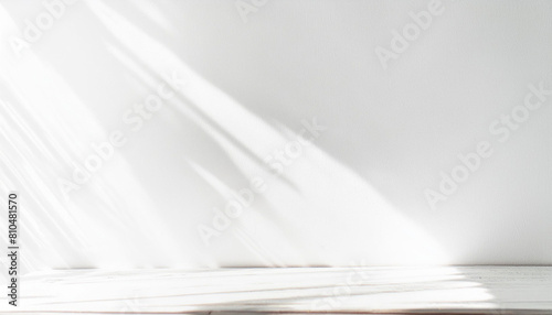 白い壁　自然光　影　日差し　背景画像  Generative AI  © RD02_AG