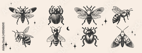 hand drawn insects set in Y2K style. Monochrome butterfly, moth, beetle, bug, honeybee, wasp ink drawing. Decorative sketch collection for vintage tattoo, sticker, poster, print.