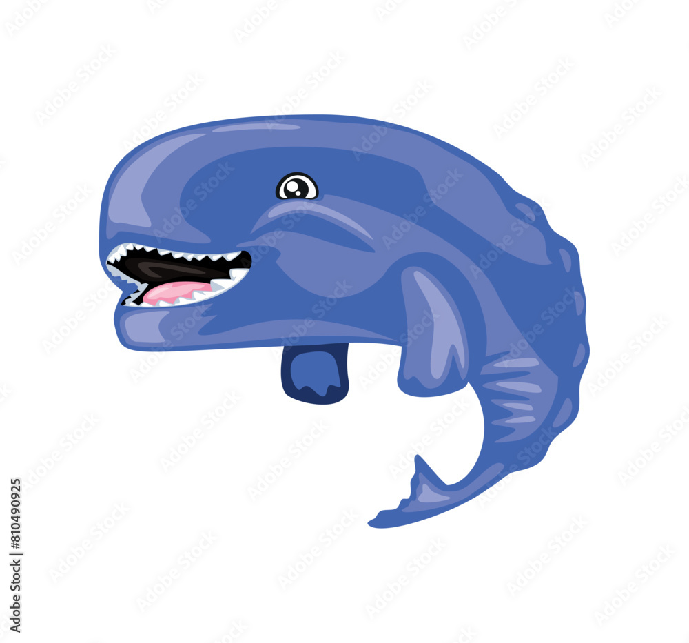 whale sea life whale sea life