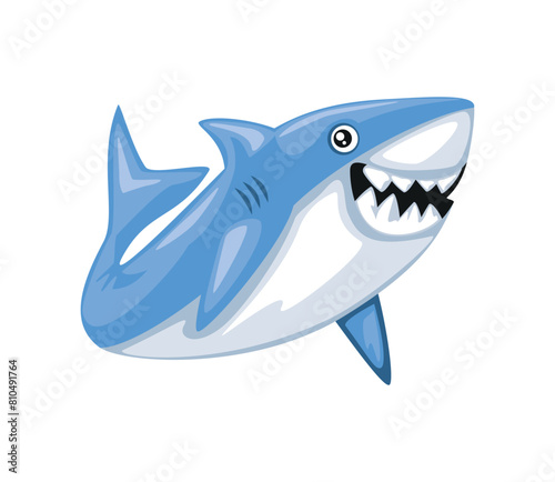 shark animal sea