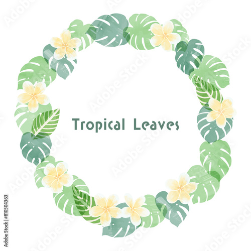 手描きの南国の植物とプルメリアのフレームイラスト