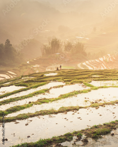Waterlogged terraced rice fields at sunset