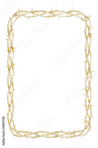 Divine Thorny Canvas: artistic vision with this 3D render of a vertical, golden thorn frame. Ideal for modern art installations and Christian visuals exploring themes of divinity and suffering.