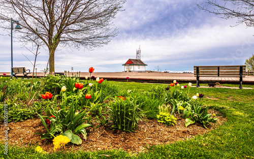 Spring flowers beside a wooden boardwalk along a  brown sand beach shot in the toronto beaches room for text  photo