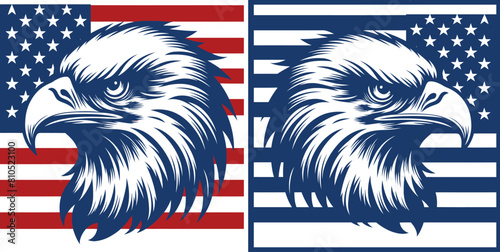 Flying Eagle over the american flag Vector Silhouettes on backgraund in two variants.
