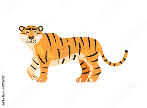 tiger animal illustration