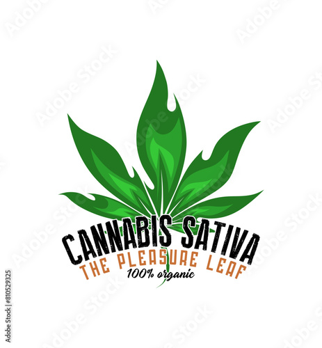 green cannabis logo - pleasure leaf