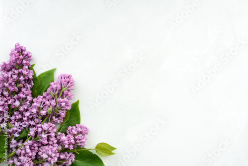 Lilac flowers on white background. Spring flowers. Beautiful Floral composition  Flat lay  top view  copy space.  Floral background for Birthday  Spring Holiday  Mother s day  Women s day  Wedding