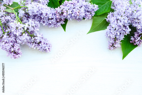 Lilac flowers on white wooden background. Spring flowers. Flat lay  top view  copy space. Beautiful Floral background for Birthday  Spring Holiday  Mother s day  Women s day  Wedding