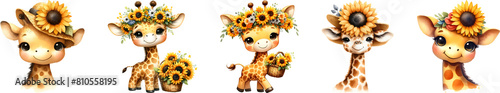 Giraffe with sunflower for kids  watercolor illustration.