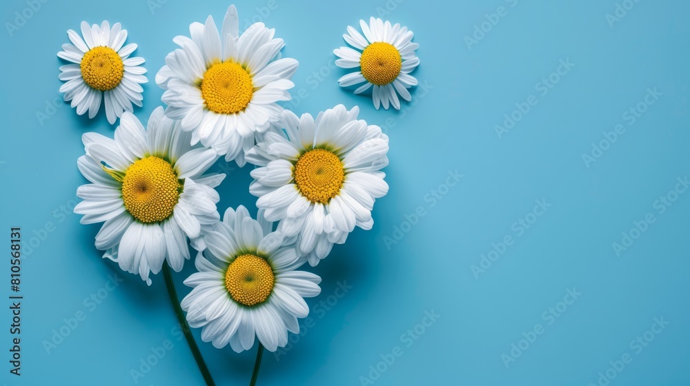Obraz premium A blue backdrop features a collection of white and yellow daisies, with ample room above for text or an accompanying image