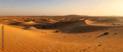 Vast desert landscape with sand dunes at sunset