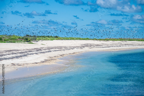 Bush Key with land bridge to Fort Jefferson on Dry Tortugas National Park with sooty terns and brown noddies nesting photo