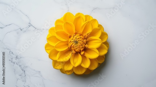   A large yellow flower atop a white marble counter, near a marble wall and floor