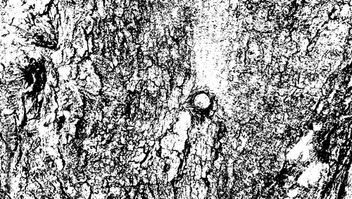 7-82. Wood Surface Texture Effect - Illustration Old Wood Black and White Vector Texture.