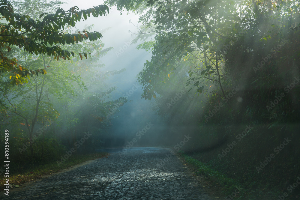 Tyndall effect road in Jingmai Mountain early morning clouds and fog