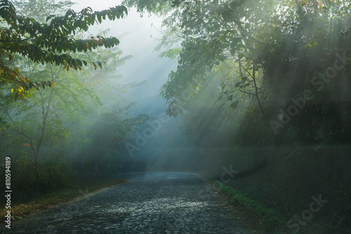 Tyndall effect road in Jingmai Mountain early morning clouds and fog photo