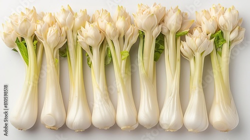 A row of white asparagus on a white background. photo
