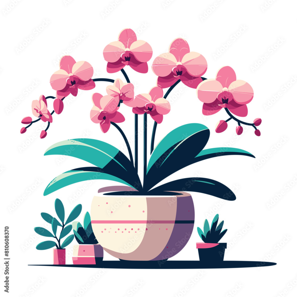 stylized illustration of home plant in a pot pink orchid stylized illustration of home plant in a pot pink orchid
