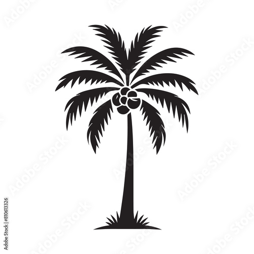 palm trees silhouettes vector