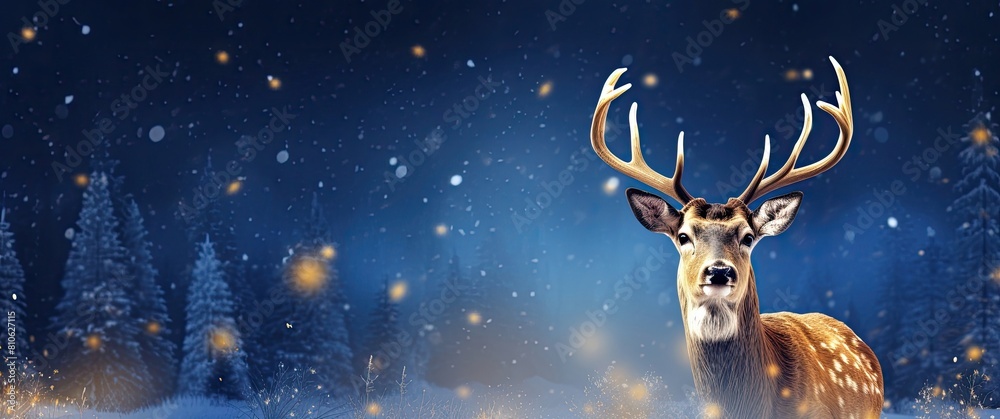 Wild deer against the backdrop of a winter night landscape and Christmas lights. Wild deer against the backdrop of a winter night landscape and Christmas lights.