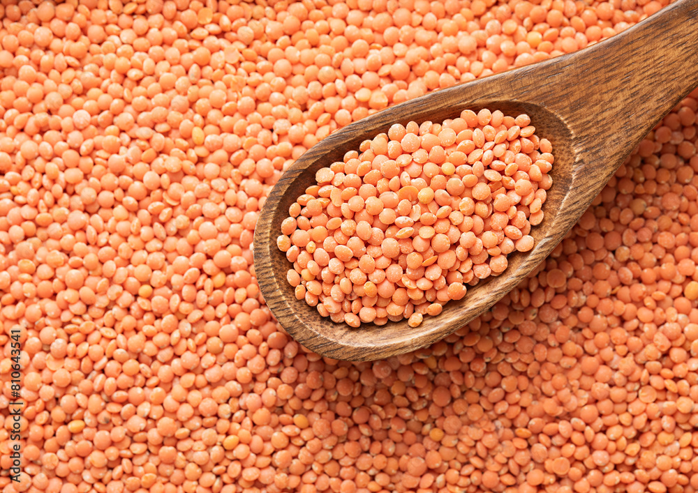 Orange healthy raw organic lentils grain seeds on wooden spoon in kitchen.Macro. Orange healthy raw organic lentils grain seeds on wooden spoon in kitchen.Macro.